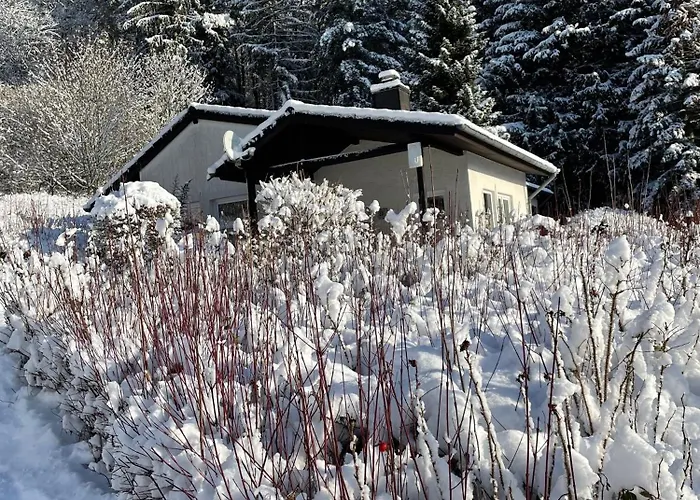 Vakantiehuis 926 Biersdorf